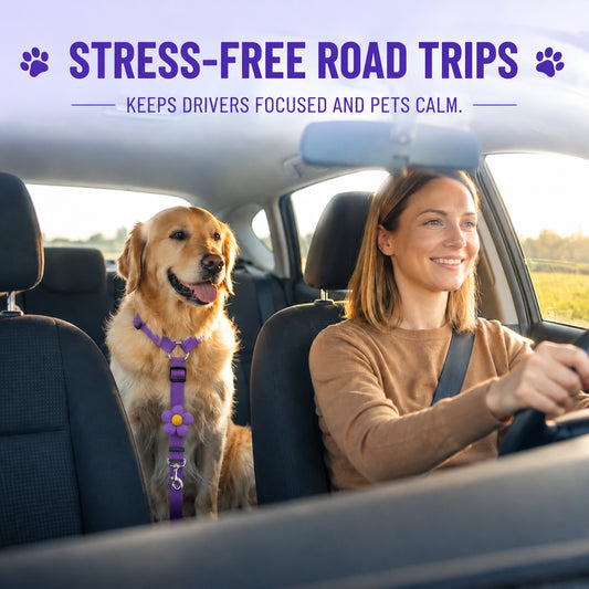 Dog Travel Safety Belts