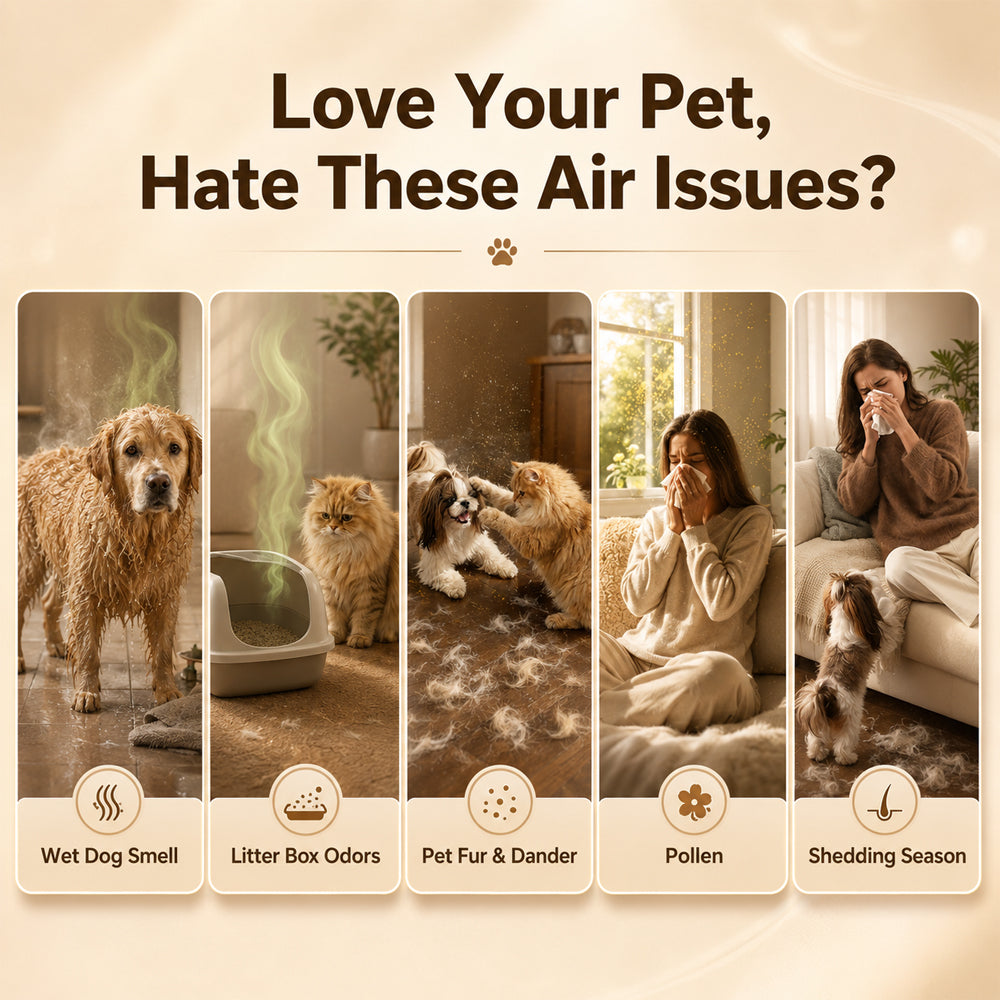 Air Purifier for Pet Hair and Odor, Washable Filter, Covers Up to 1200 Ft², Quiet for Pets, 3-in-1 HEPA Filter for Allergies and Odors