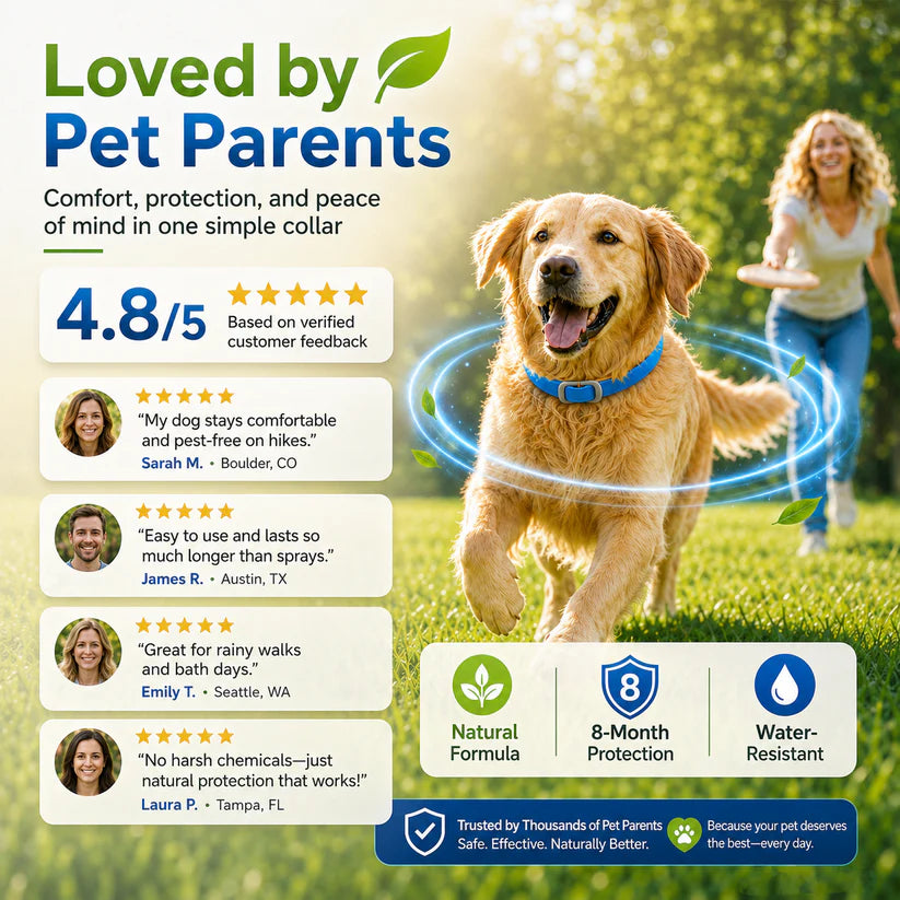 Natural Essential Oil Flea & Tick Collar for Pets