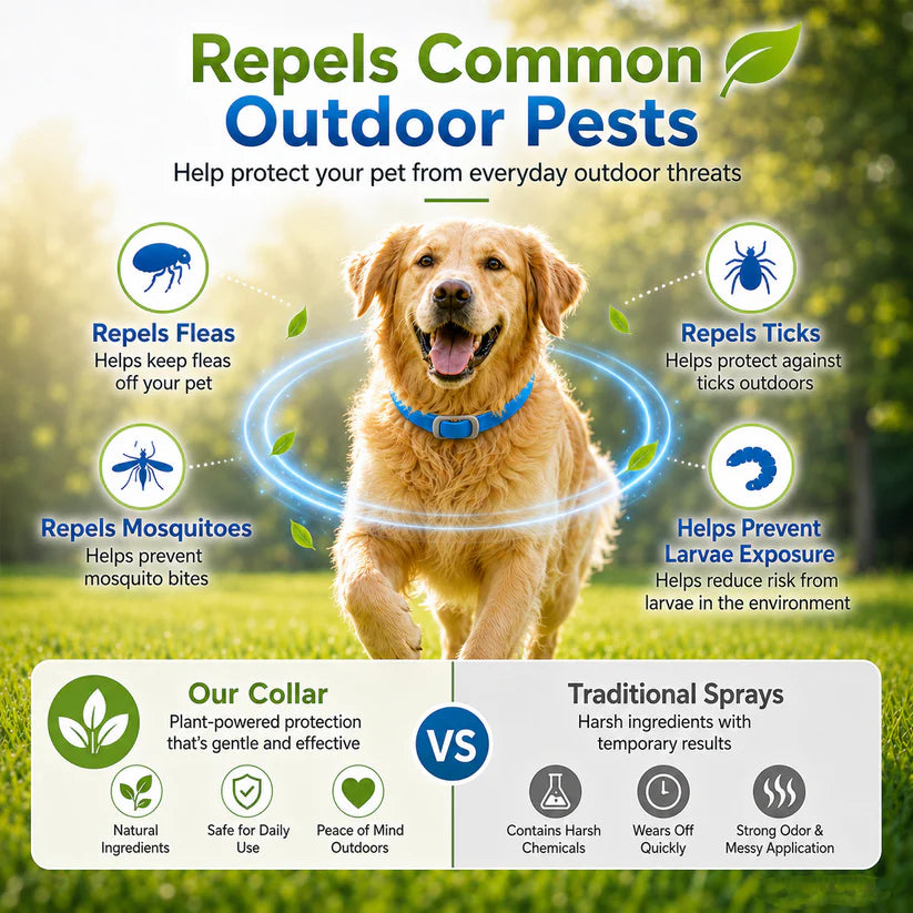Natural Essential Oil Flea & Tick Collar for Pets