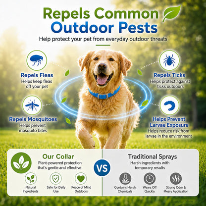 Natural Essential Oil Flea & Tick Collar for Pets