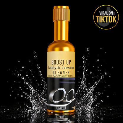 Catalytic Converter Cleaner